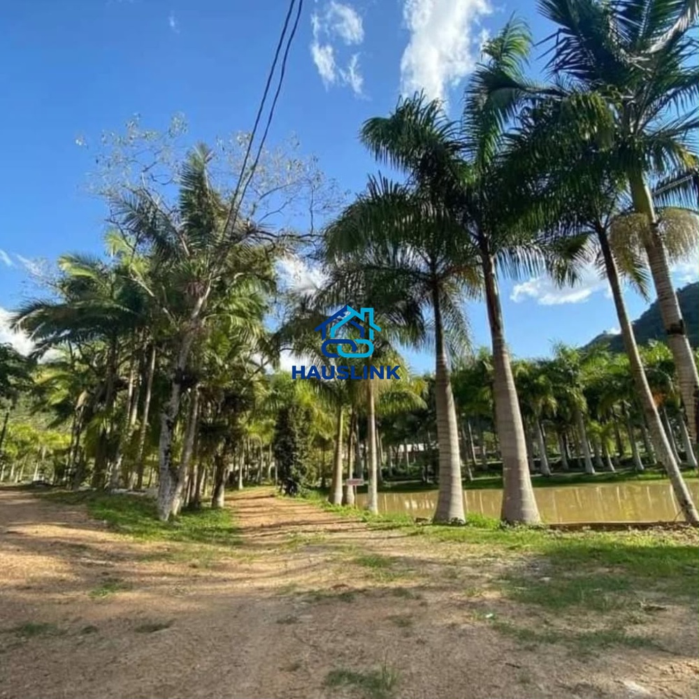 Chácara Completa com 6.000 m², Piscina e 6 Lagoas de Peixe - foto 3